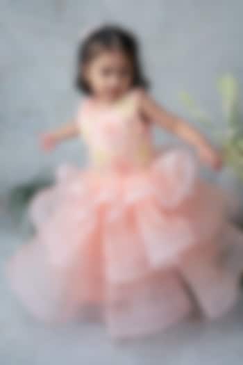 Peach Organza Hand Embroidered Gown For Girls by Label Neeti at Pernia's Pop Up Shop