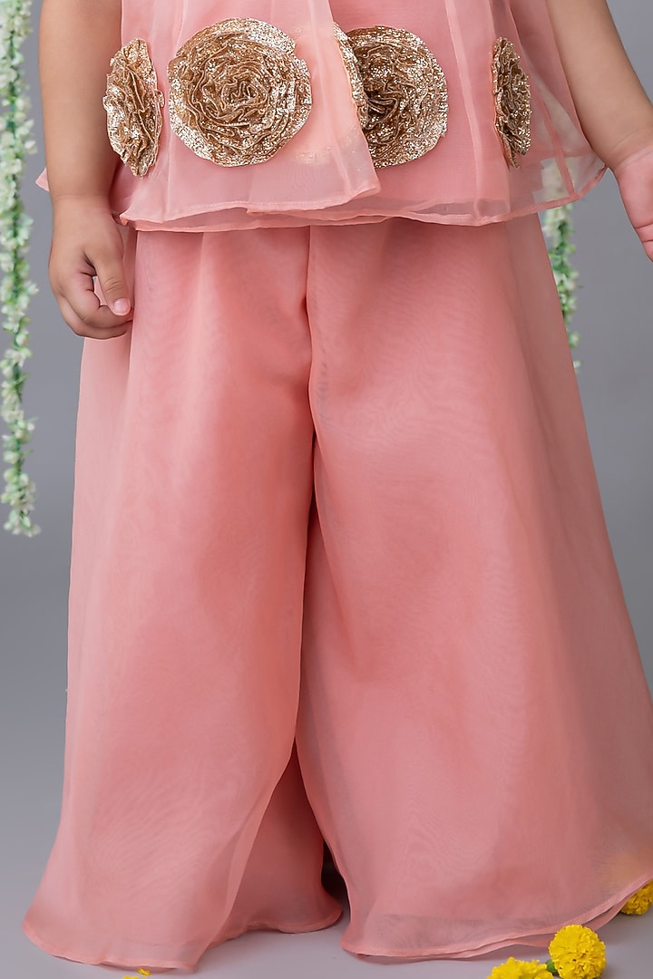Peach Organza Floral Embellished Co-Ord Set For Girls by Label Neeti at Pernia's Pop Up Shop