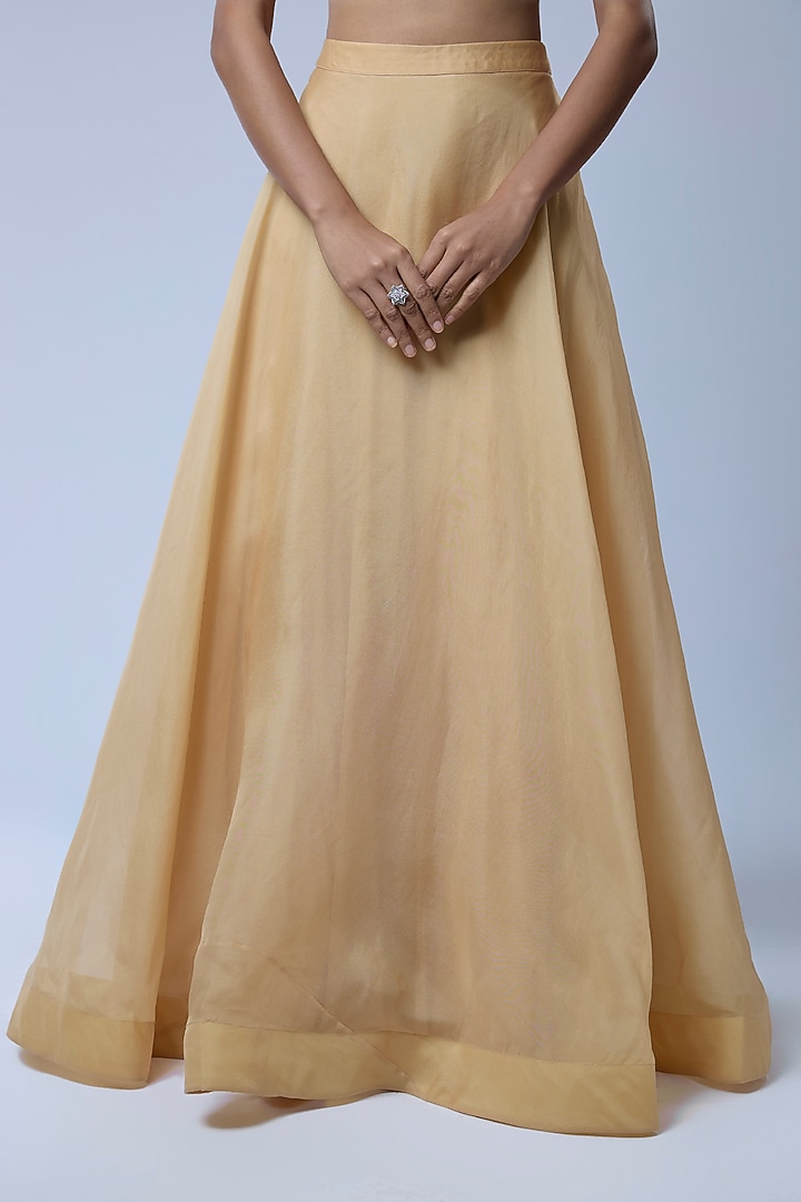 Beige Organza Jacket Set by COUTURE BY NIHARIKA at Pernia's Pop Up Shop