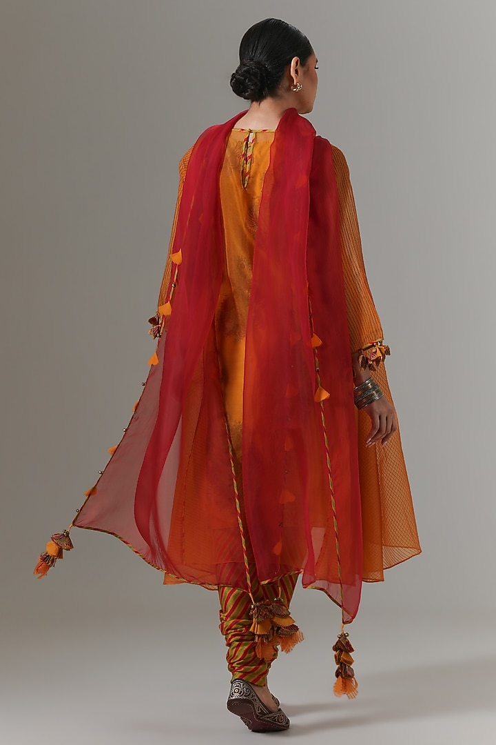 Sunset Gold Organza Kalidar Kurta Set by Neither Nor at Pernia's Pop Up Shop