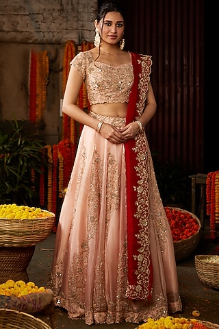 Rose Pink Hand Embroidered Lehenga Set by Nehha Nhata