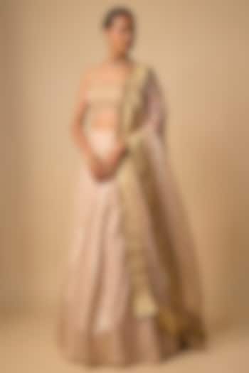 Blush Banarasi Chanderi Hand Embroidered Wedding Lehenga Set by Neha khullar at Pernia's Pop Up Shop