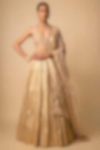 Blush Banarasi Chanderi Hand Embroidered Wedding Lehenga Set by Neha khullar at Pernia's Pop Up Shop