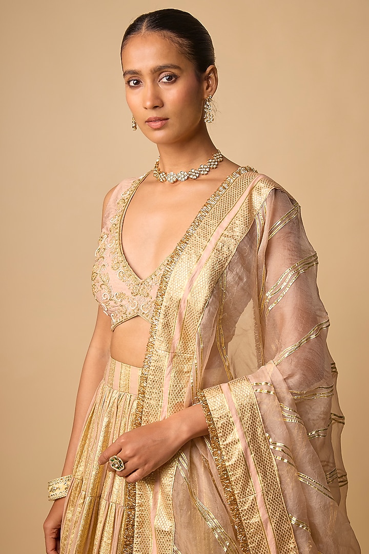 Blush Banarasi Chanderi Hand Embroidered Wedding Lehenga Set by Neha khullar at Pernia's Pop Up Shop