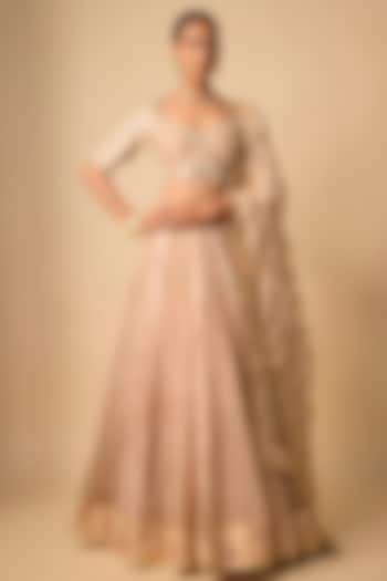 Blush Banarasi Chanderi Hand Embroidered Wedding Lehenga Set by Neha khullar at Pernia's Pop Up Shop