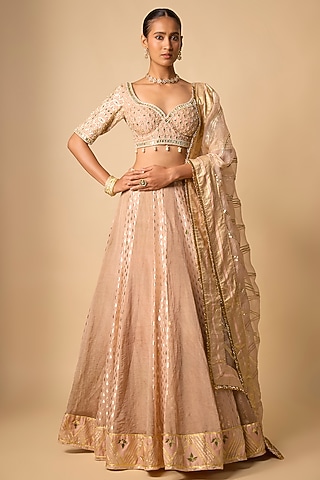 Blush Banarasi Chanderi Hand Embroidered Lehenga Set by Neha khullar