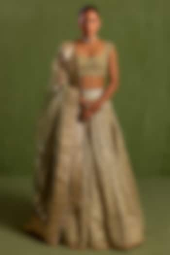 Mint Green Banarasi Chanderi & Chanderi Silk Dori Embroidered Wedding Lehenga Set by Neha khullar at Pernia's Pop Up Shop