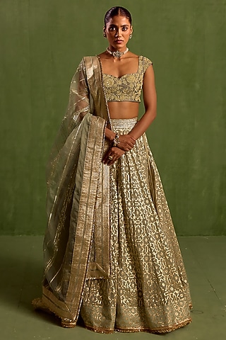 Mint Green Banarasi Chanderi & Chanderi Silk Dori Embroidered Lehenga Set by Neha khullar