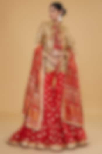 Red Chanderi Tissue Ajrakh Printed Gharara Set by Nitya Bajaj