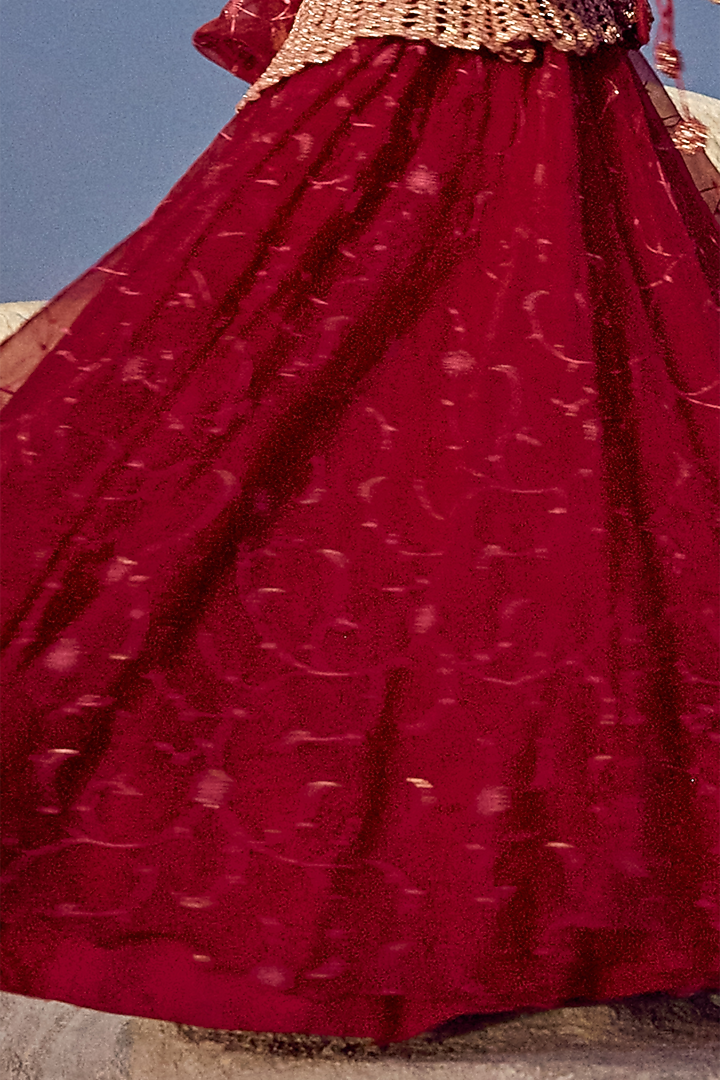 Deep Red Jaal Organza Embroidered Engagement Gown With Jacket by Nikita Vishakha at Pernia's Pop Up Shop