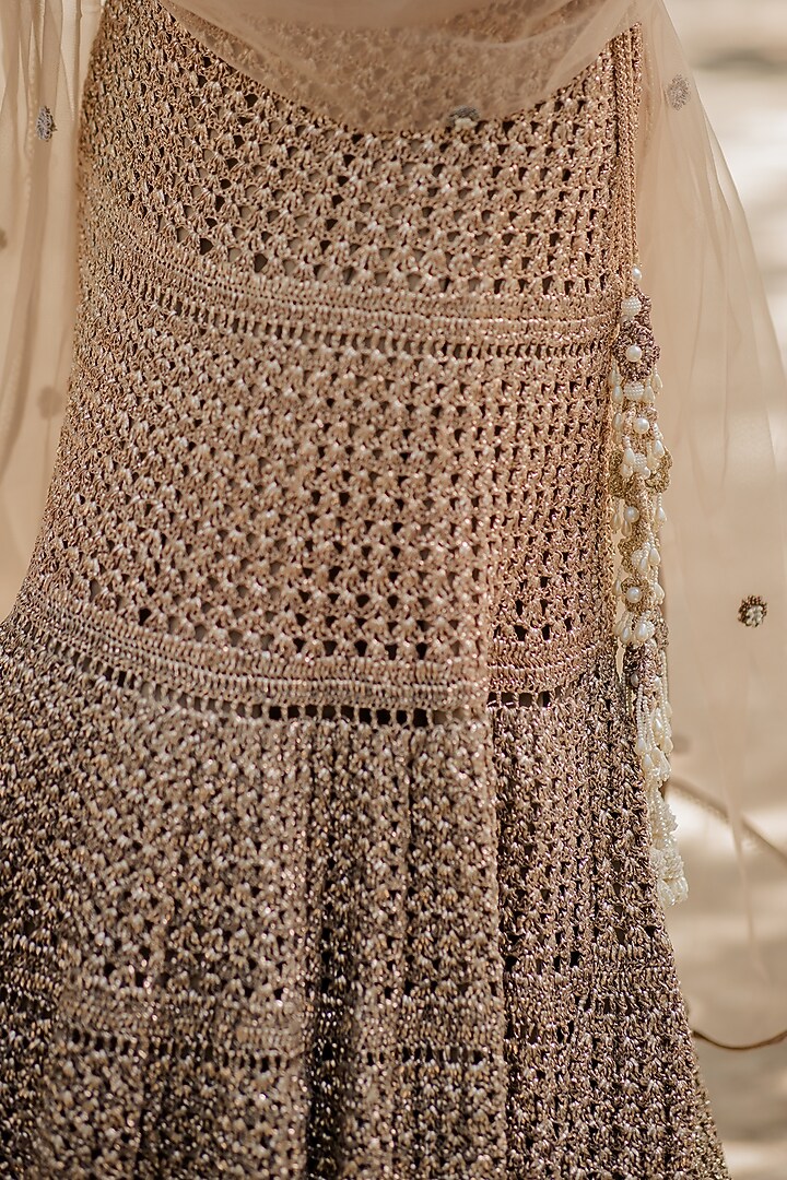 Brown Mesh Tasseled Skirt Set by Nikita Vishakha at Pernia's Pop Up Shop