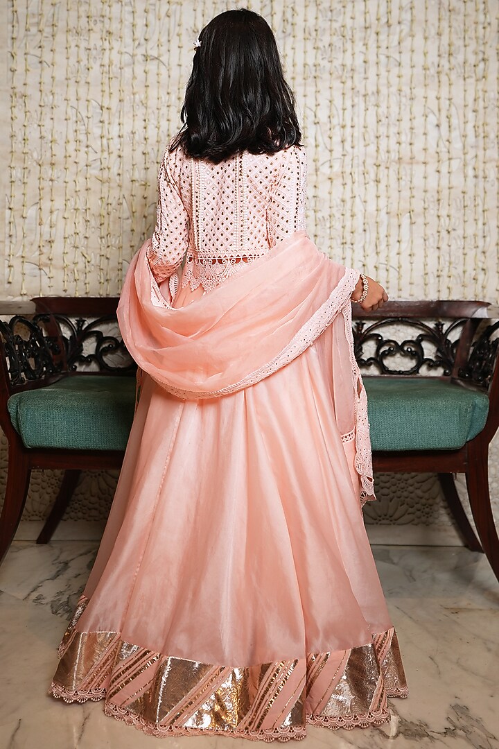 Blush Pink Organza Embroidered Lehenga Set For Girls by Nitya Bajaj Miniature at Pernia's Pop Up Shop