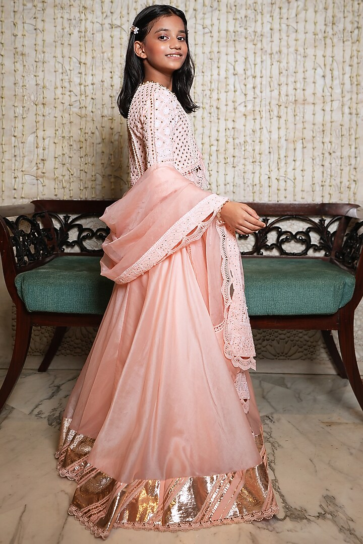 Blush Pink Organza Embroidered Lehenga Set For Girls by Nitya Bajaj Miniature at Pernia's Pop Up Shop