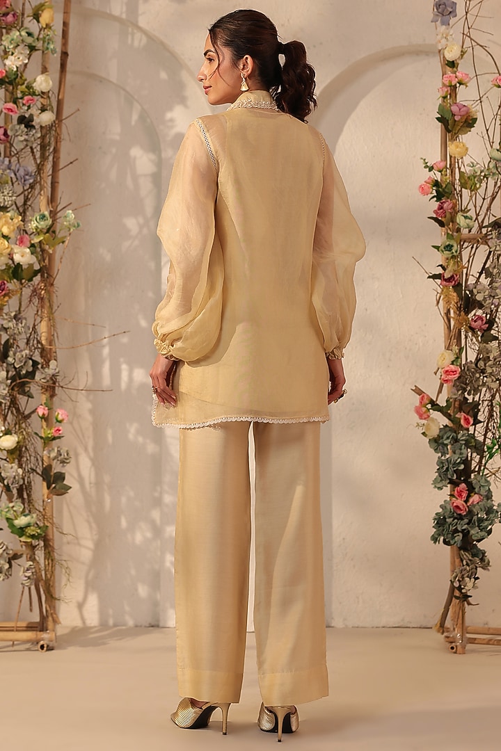 Beige Organza Applique Embroidered Co-Ord Set by Niti Bothra at Pernia's Pop Up Shop