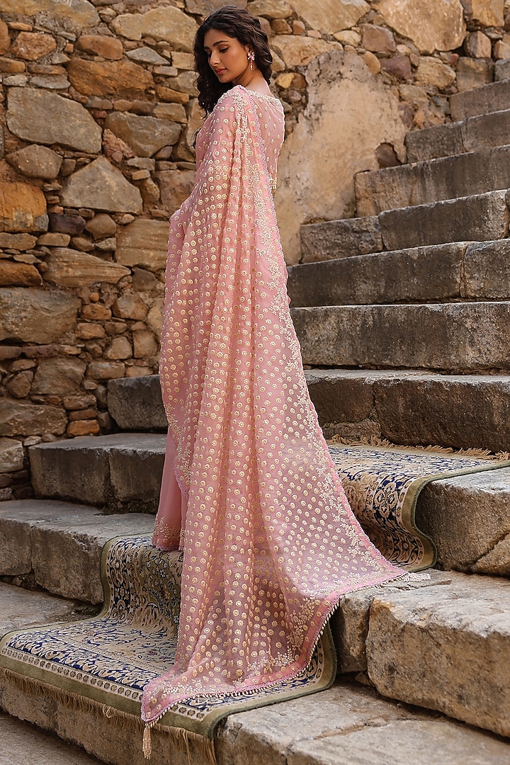 Pink Organza Aari Embroidered Reception Saree Set by Niti Bothra at Pernia's Pop Up Shop