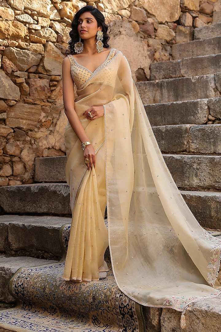 Beige Organza Resham Embroidered Reception Saree Set by Niti Bothra at Pernia's Pop Up Shop