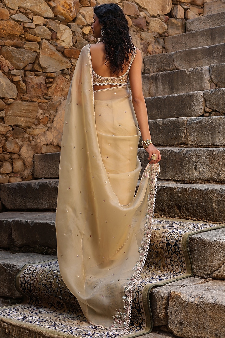 Beige Organza Resham Embroidered Reception Saree Set by Niti Bothra at Pernia's Pop Up Shop