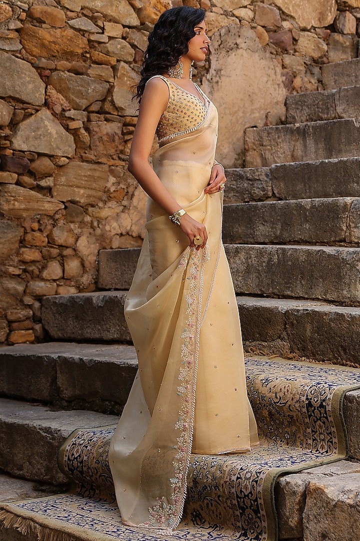 Beige Organza Resham Embroidered Reception Saree Set by Niti Bothra at Pernia's Pop Up Shop