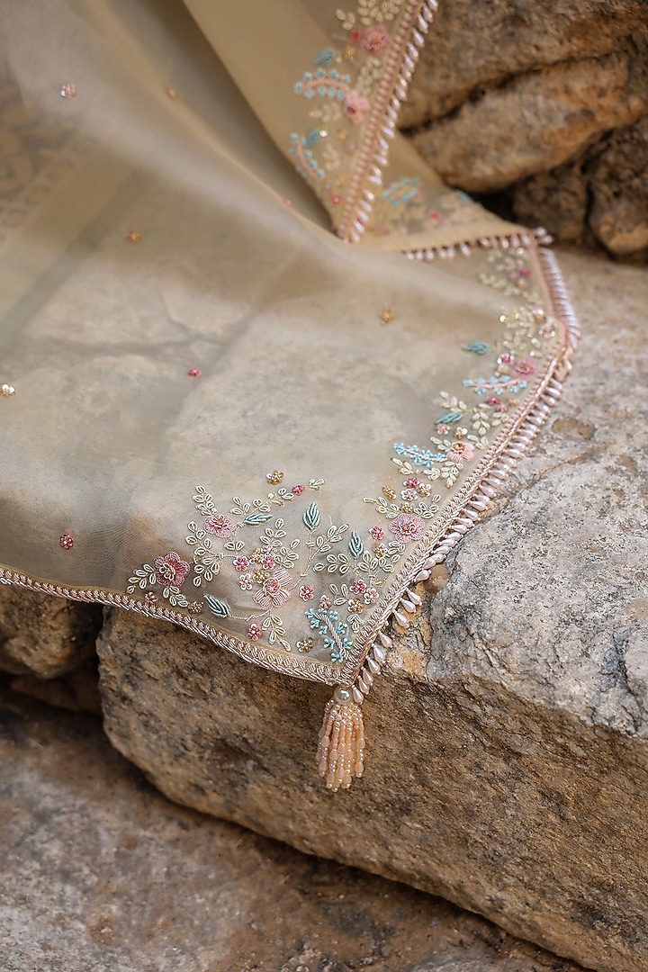 Beige Organza Resham Embroidered Reception Saree Set by Niti Bothra at Pernia's Pop Up Shop