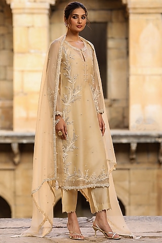Beige Organza & Silk Tencel Resham Embroidered Kurta Set by Niti Bothra
