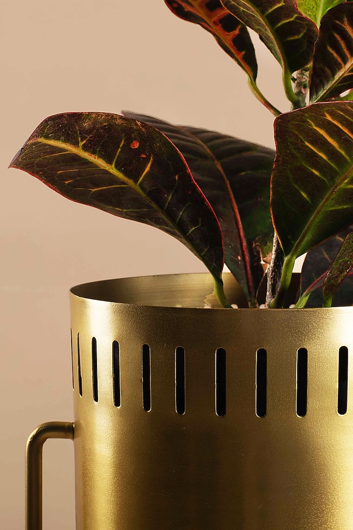 Gold Iron Planters by Muun Home at Pernia's Pop Up Shop