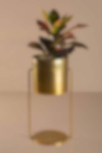 Gold Iron Planters by Muun Home at Pernia's Pop Up Shop