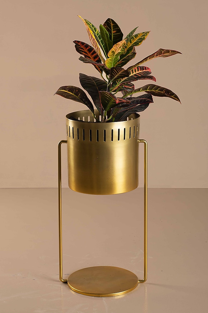 Gold Iron Planters by Muun Home at Pernia's Pop Up Shop