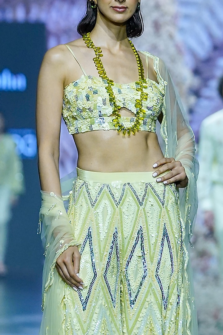 Cool Matcha Net Embroidered Dupatta by Nirmooha at Pernia's Pop Up Shop
