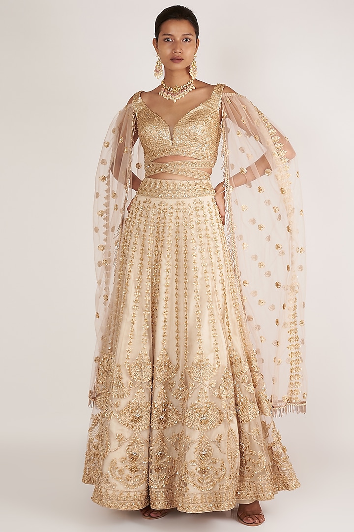 Beige Embroidered Ghaghra Set by Nirmooha