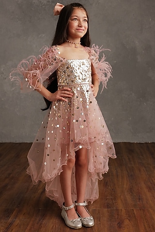 Blush Pink Semi Hard Net & Fluid Organza Dress For Girls by NSS Little Stars