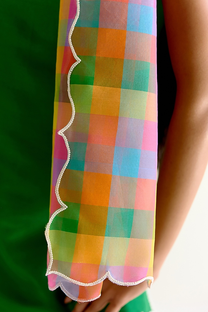 Multi-Colored Handwoven Pachranga Organza Hand Embroidered Dupatta by Ohfab by Aanchal & Akshita at Pernia's Pop Up Shop