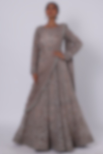 Beige Organza Gown Saree by Onaya