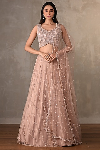 Beige Net Embroidered Lehenga Set by Onaya