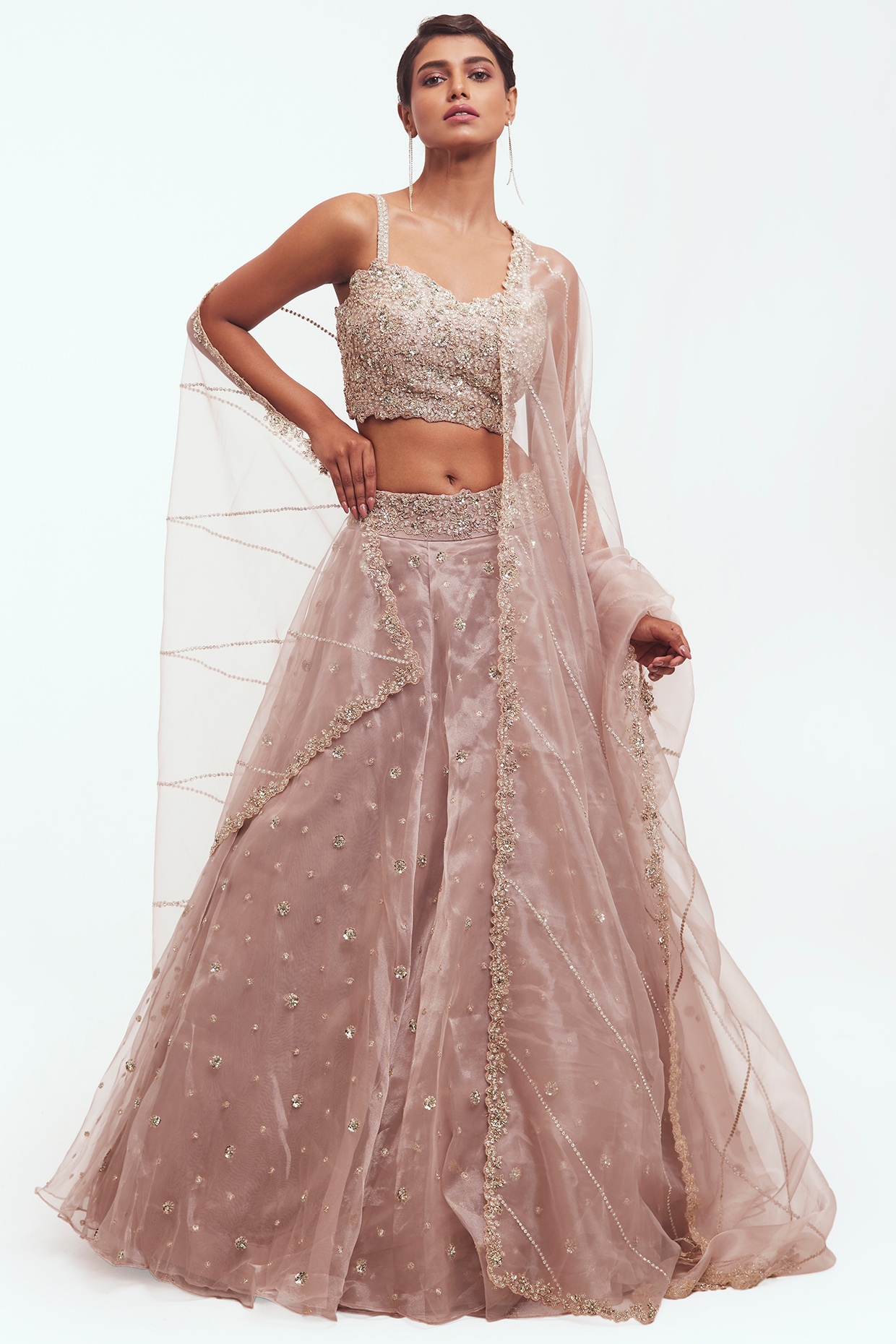 Blush Peach Banarasi Jacquard Lehenga Choli