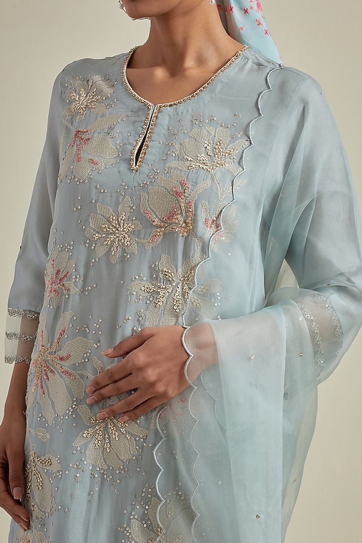 Powder Blue Organza Sequins Work Dupatta by One not two at Pernia's Pop Up Shop