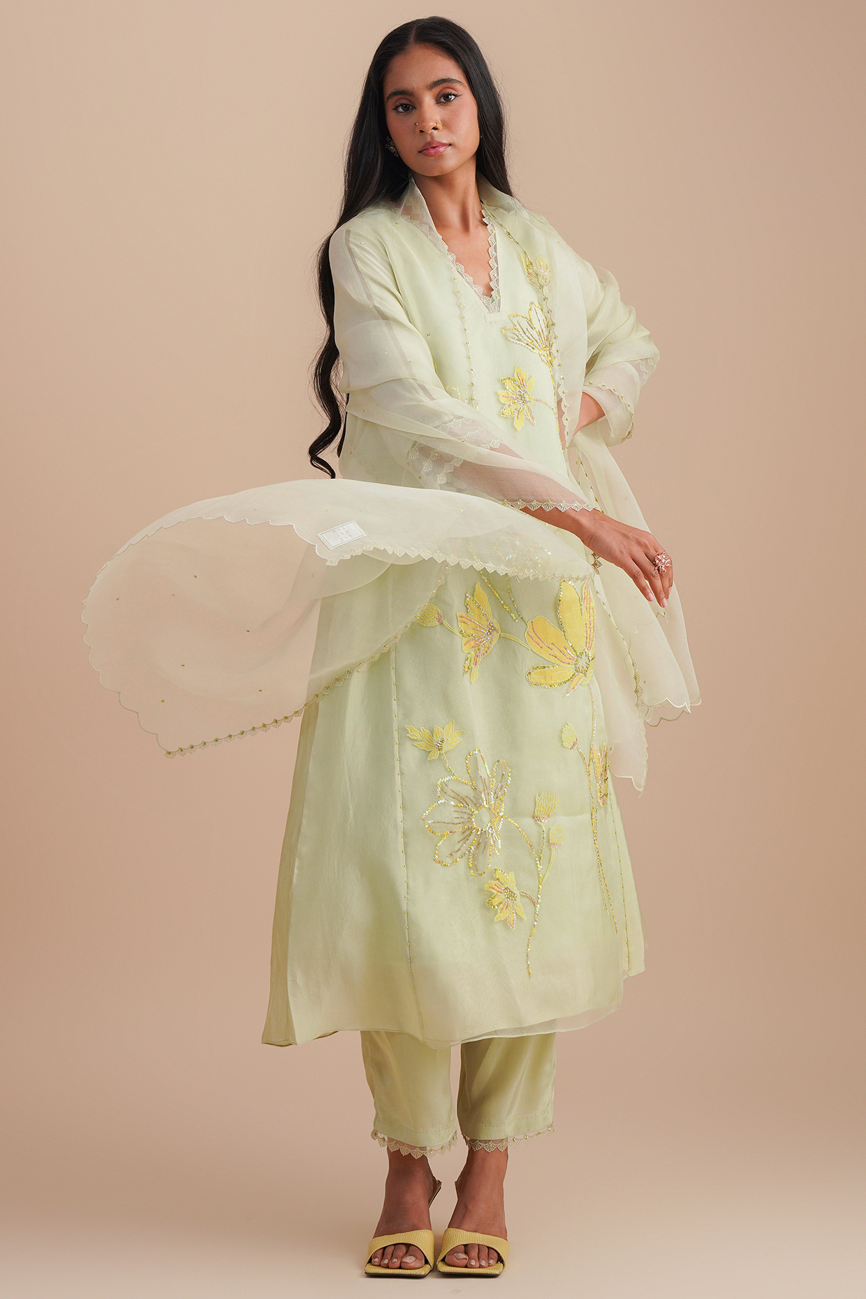 Mist Silk Organza Sequins Embroidered Dupatta by One not two at Pernia's Pop Up Shop