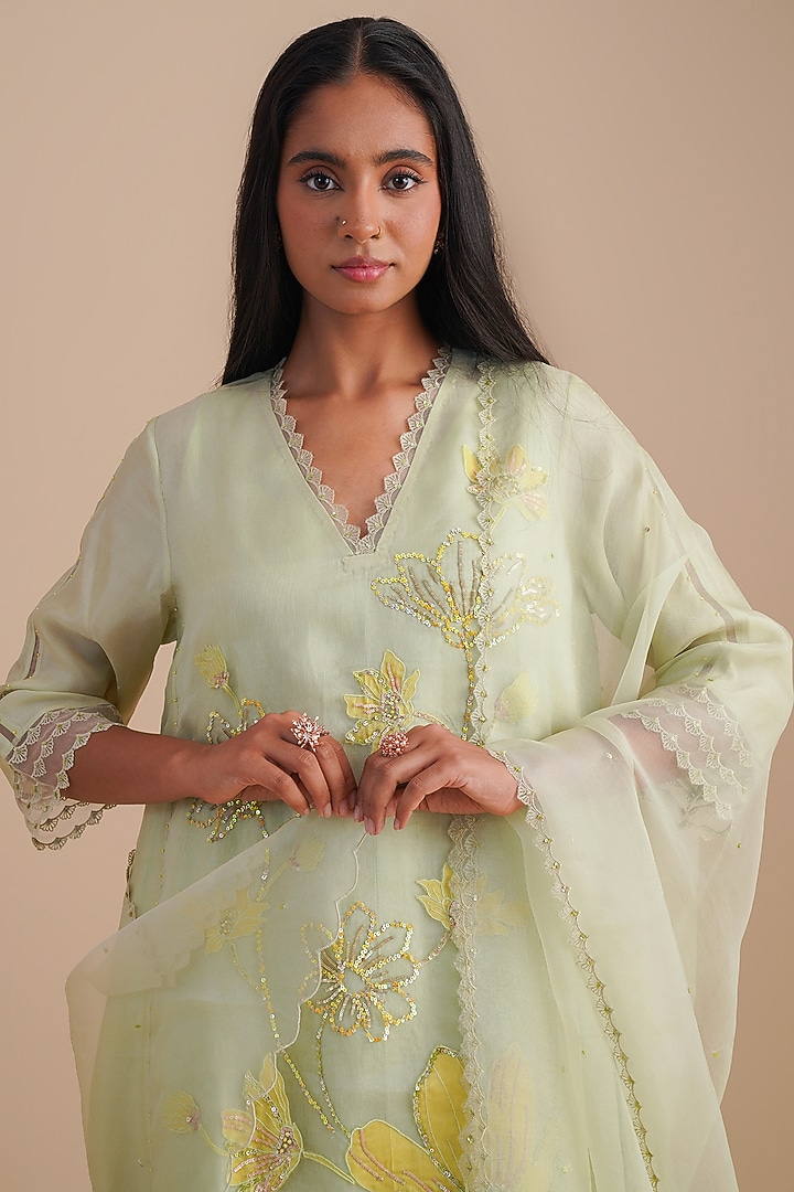 Mist Silk Organza Sequins Embroidered Dupatta by One not two at Pernia's Pop Up Shop