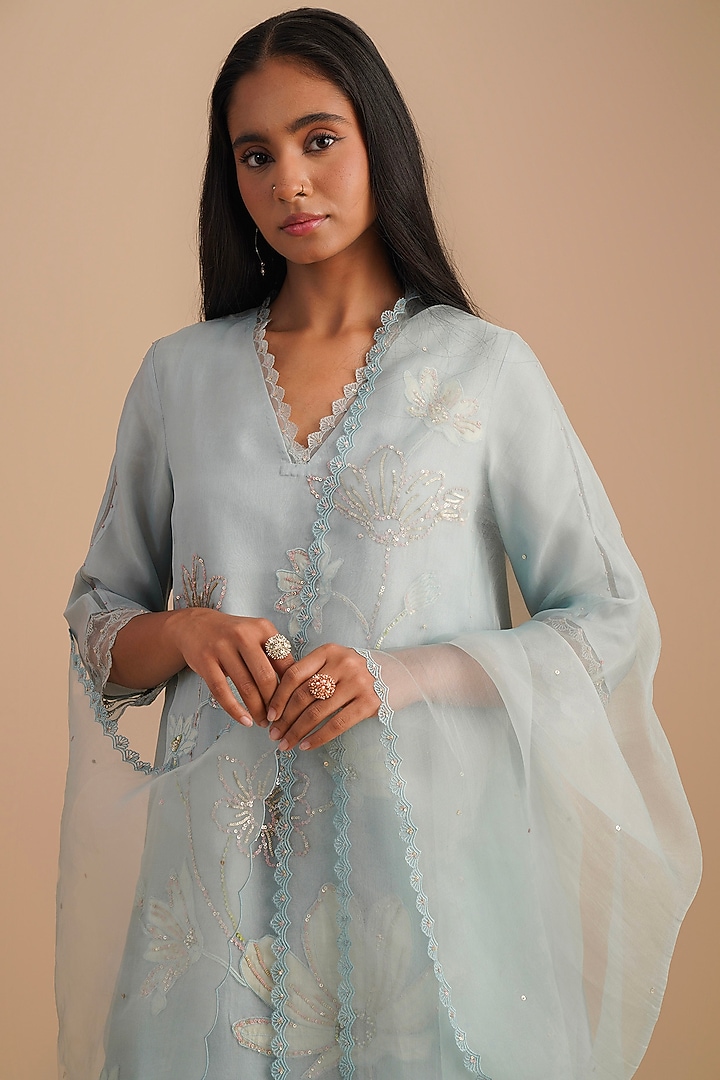 Powder Blue Silk Organza Sequins Embroidered Dupatta by One not two at Pernia's Pop Up Shop