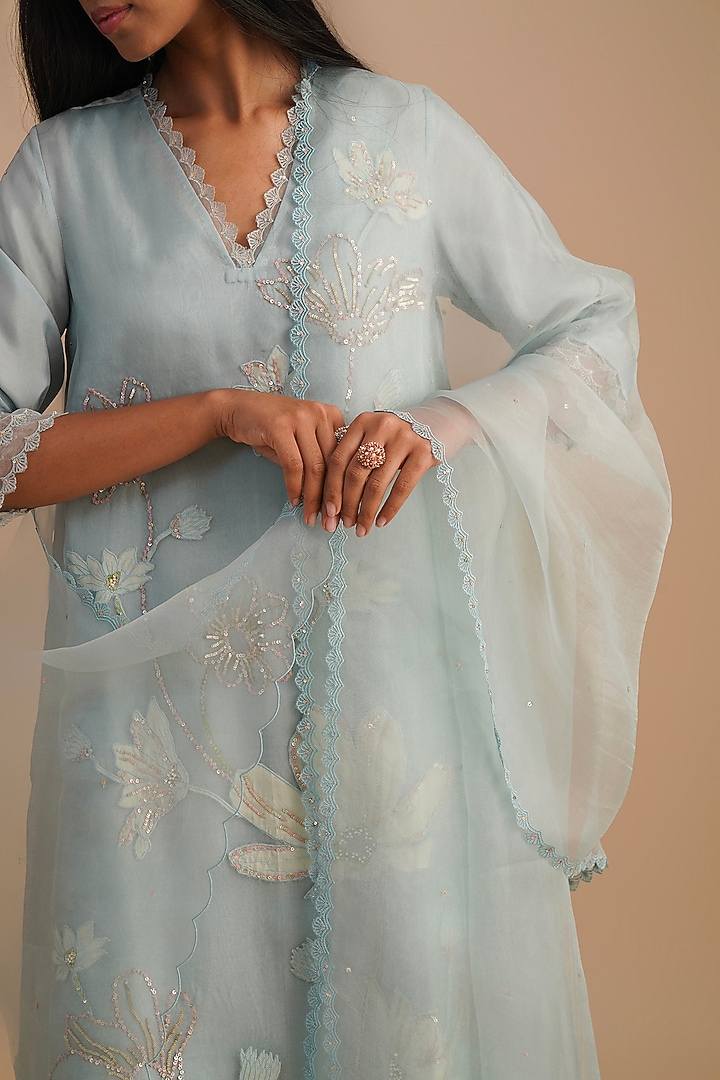 Powder Blue Silk Organza Sequins Embroidered Dupatta by One not two at Pernia's Pop Up Shop