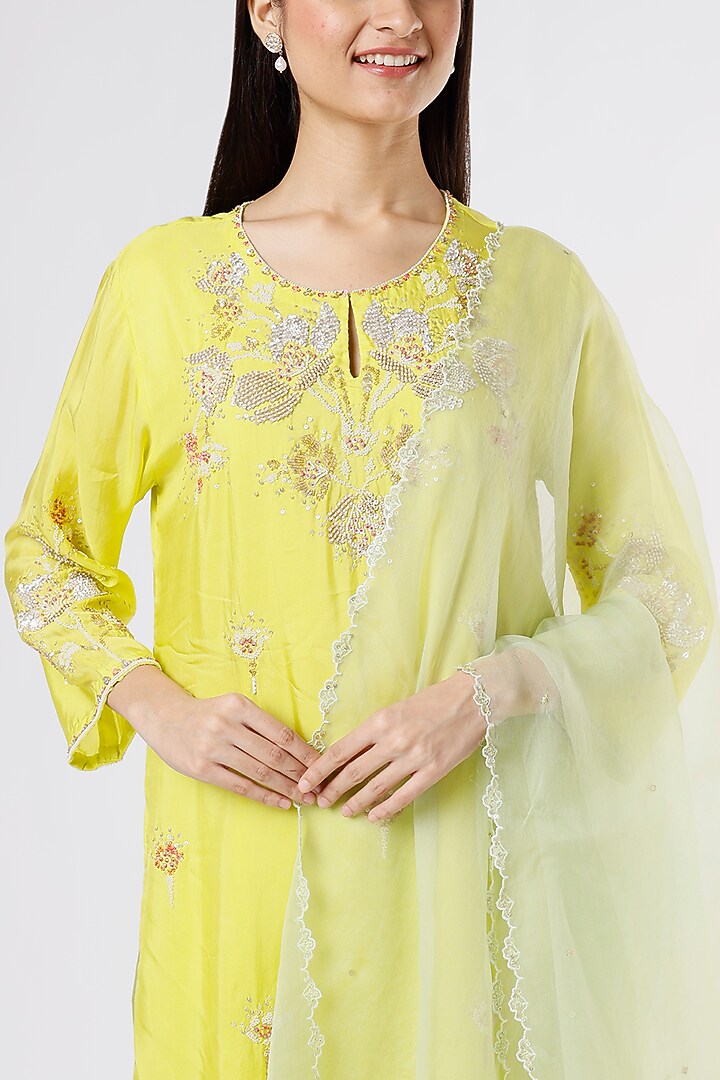 Mist Green Silk Organza Embroidered Dupatta by One not two at Pernia's Pop Up Shop
