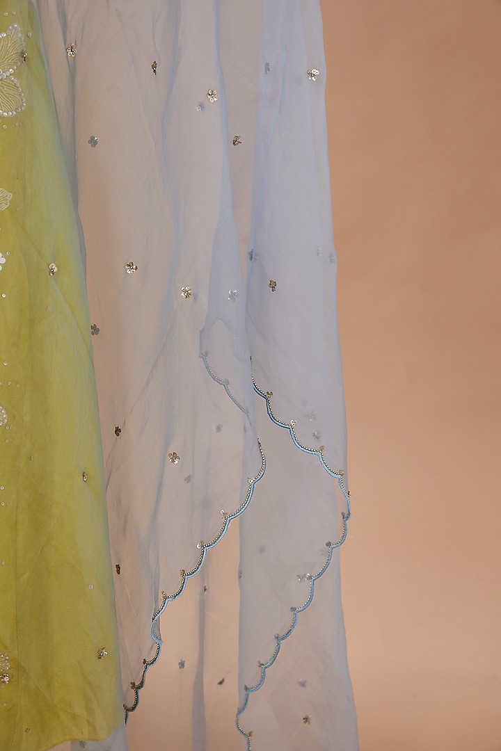 Grey Organza Sequins Embroidered Dupatta by One not two at Pernia's Pop Up Shop