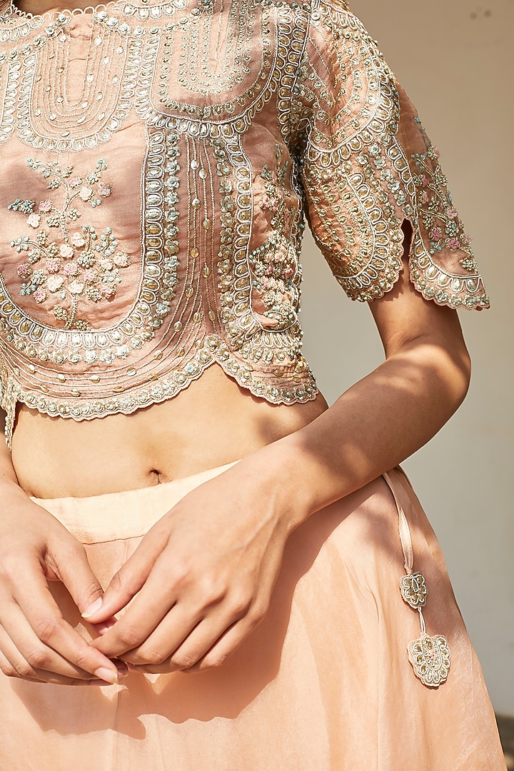 Sepia Rose Colored Tissue Organza Skirt Set by OSAA By Adarsh at Pernia's Pop Up Shop
