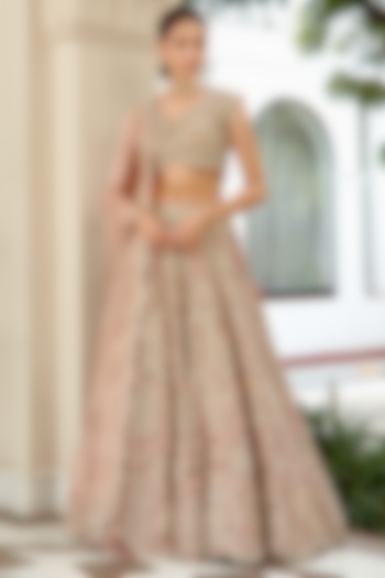 Sepia Rose Embroidered Lehenga Set by OSAA By Adarsh