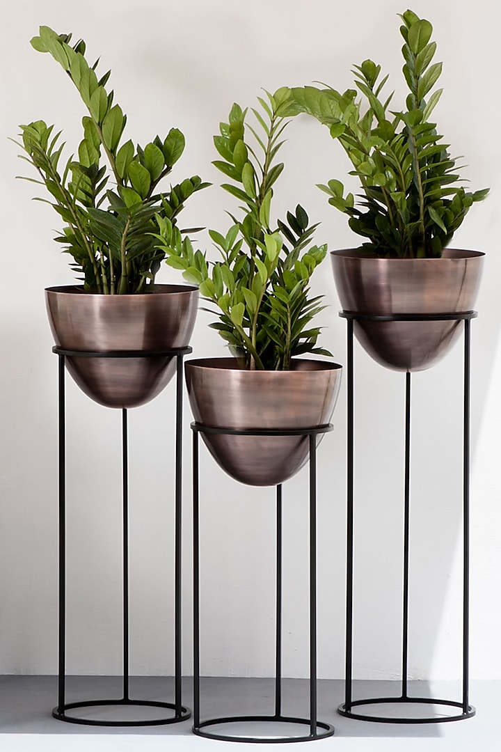 Egg Shaped Copper & Black Iron Planter (Set of 3) by The Decor Remedy