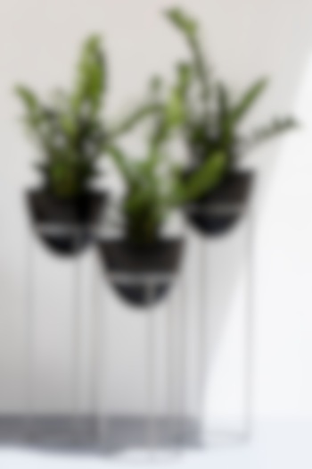 Ovate Black & Silver Iron Planter 
(Set of 3) by The Decor Remedy