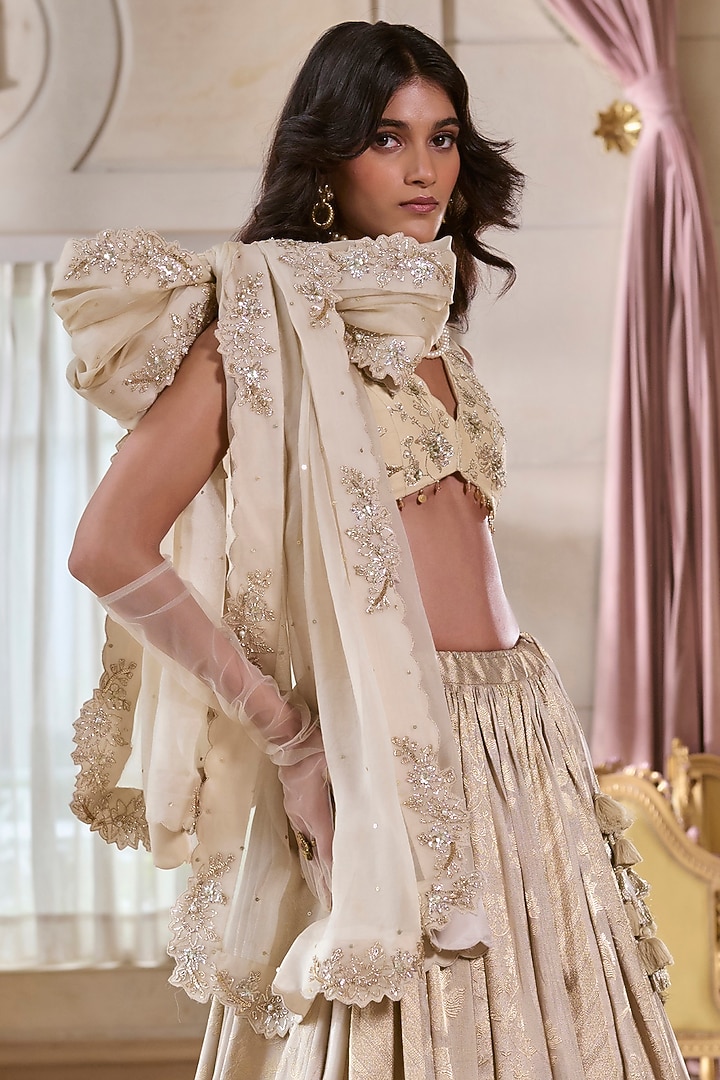 Pearl Grey Jacquard Hand Embroidered Wedding Lehenga Set by Paulmi & Harsh at Pernia's Pop Up Shop