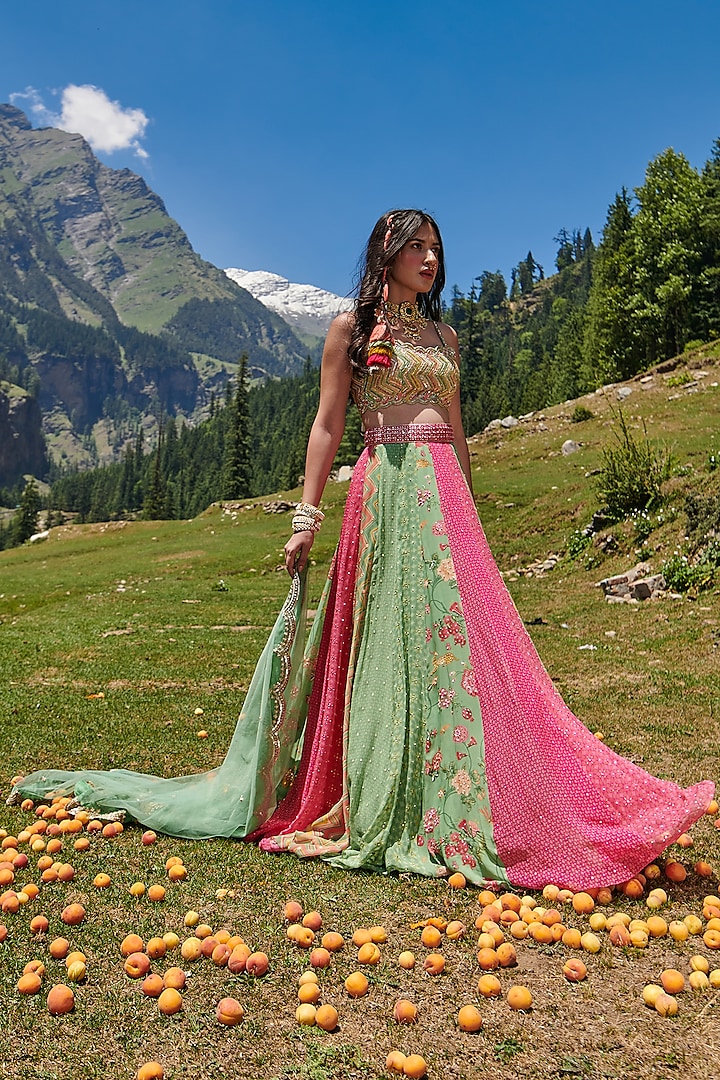 Multi-Coloured Georgette Embellished Lehenga Set by Paulmi & Harsh