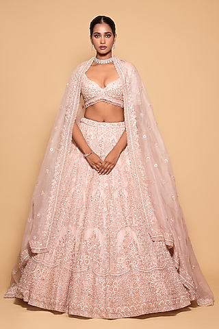 Powder Pink Organza Embroidered Lehenga Set by Pallavi Poddar (India)