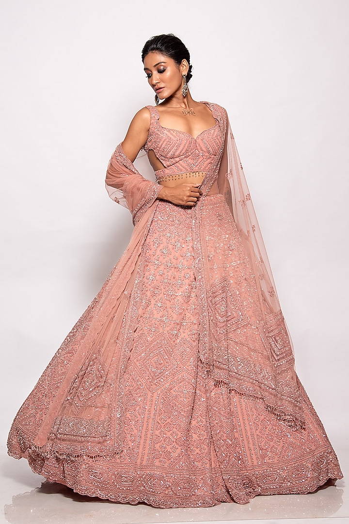 Onion Pink Tulle Embroidered Lehenga Set by Pallavi Poddar (India)