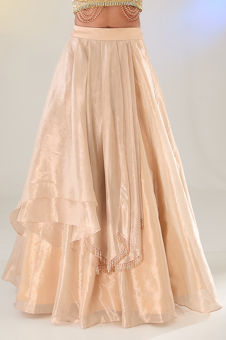 Pink Tissue Layered Skirt Set by Pankaj S Heritage at Pernia's Pop Up Shop